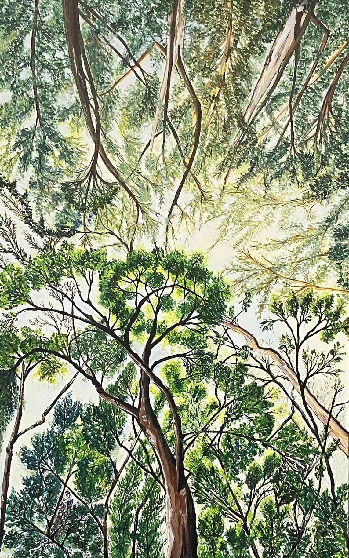 10. Trætoppenes eventyr. Akryl på lærred 50 x 80 cm